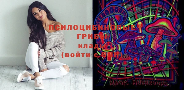 тгк Армянск