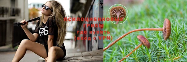 тгк Армянск